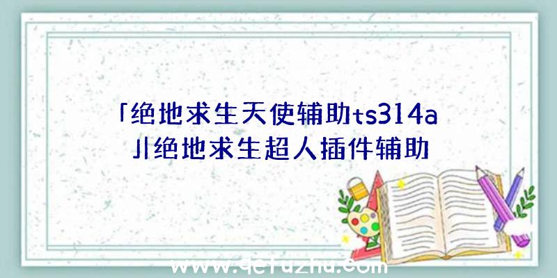 「绝地求生天使辅助ts314a」|绝地求生超人插件辅助